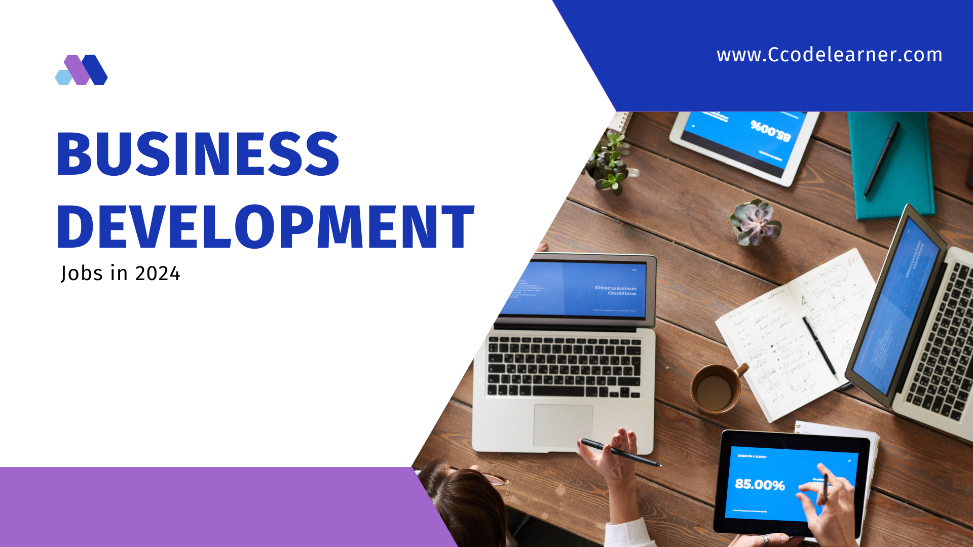 business development jobs