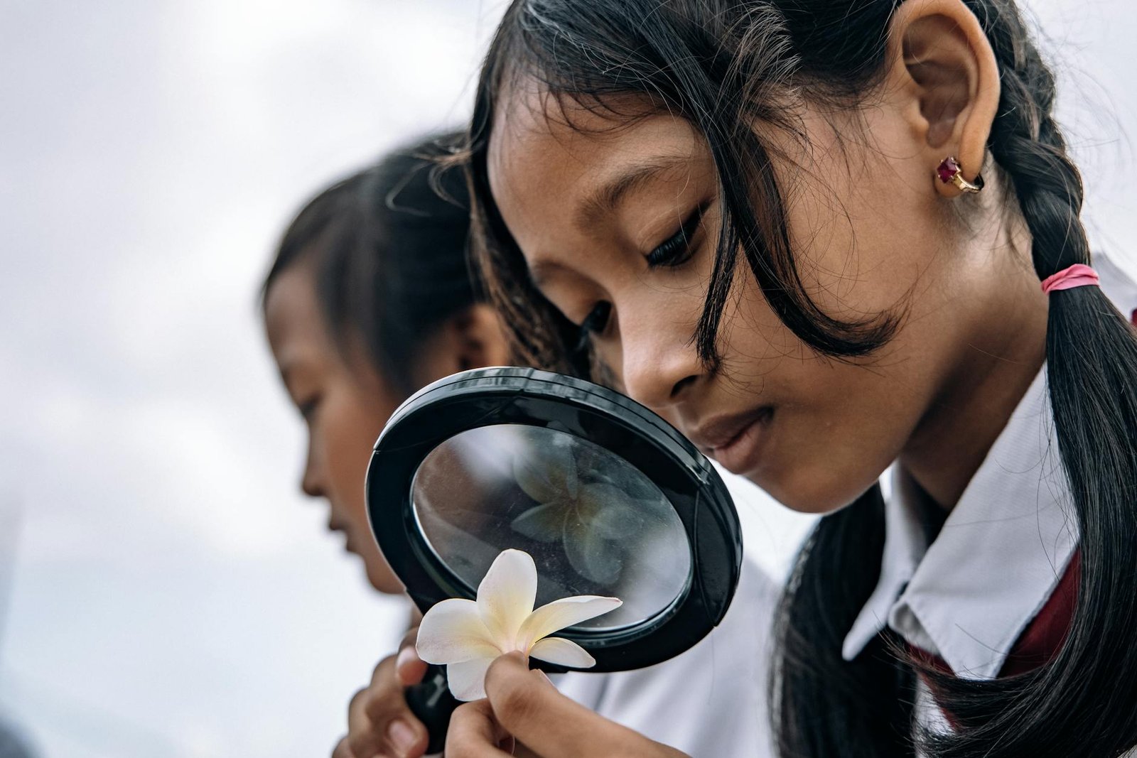 Florida Is Running a Radical Experiment in Education — Here Are the 10 Shocking Changes in 2025 1 Florida Is Running a Radical Experiment in Education